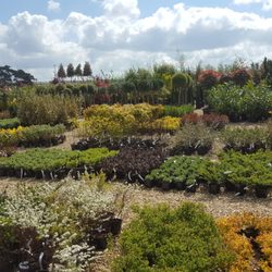 Hassett Plant Centre