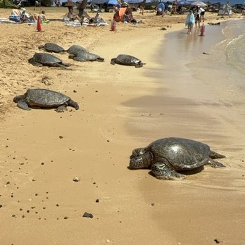 Poipu Beach - Beaches Near Me - Koloa, Hawaii