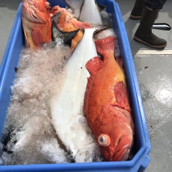 Action Alaska Sportfishing - Boat Charters Near Me
