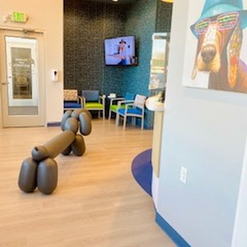 Lowell Dentistry For Children - Pediatric Dentists Near Me - Lowell, Massachusetts Lowell Dentistry For Children - Pediatric Dentists Near Me - Lowell, Massachusetts