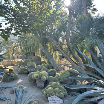 Moorten Botanical Garden - Nurseries & Gardening Near Me - Palm Springs, California Moorten Botanical Garden - Nurseries & Gardening Near Me - Palm Springs, California