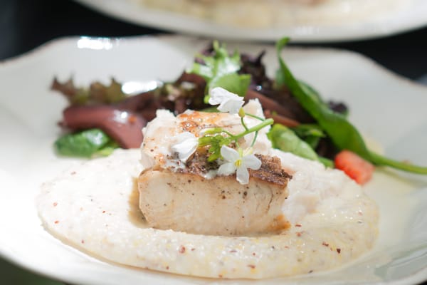 Salthouse Catering by null