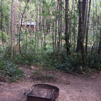 Timberlake Campground and RV Park - That's the clean restroom and shower building in the background. Camp sites are far apart - Campgrounds Near Me - Stevenson, Washington