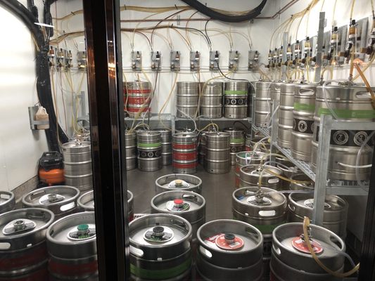 Talking Cedar by null