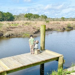 Legends of the Bayou