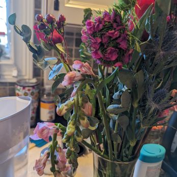 BloomsyBox - Only 3 delphiniums and 2 were broken the other falling over limp - Florists Near Me - Miami, Florida BloomsyBox - Only 3 delphiniums and 2 were broken the other falling over limp - Florists Near Me - Miami, Florida