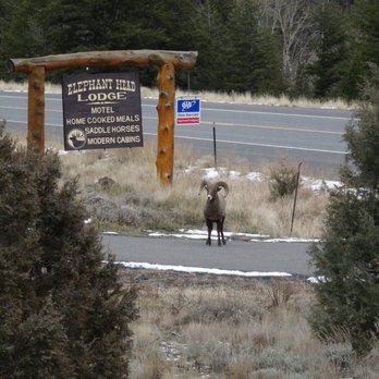 Elephant Head Lodge - The original sign. - Guest Houses Near Me - Cody, Wyoming