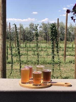 High Hops Brewery by null