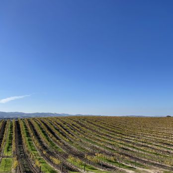 Eberle Winery - Wineries Near Me - Paso Robles, California