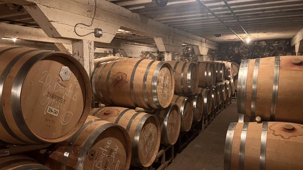 Barrister Winery by null