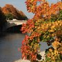 Photo of Isarradweg
