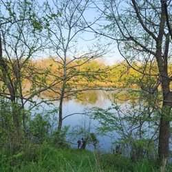 Downtown Columbia Lakefront