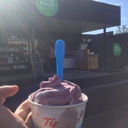 Real Food Grocer - Real fruit ice cream