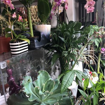 Andres Aguilar Designs - Florists Near Me - Miami, Florida Andres Aguilar Designs - Florists Near Me - Miami, Florida