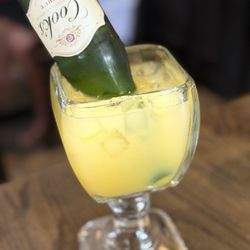 Mimosa
