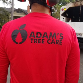 Adam's Tree Care - Adam's team in action - Tree Services Near Me Adam's Tree Care - Adam's team in action - Tree Services Near Me