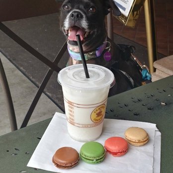 Classic Coffee - Vanilla Italian Soda and Macaroons. All very delicious! - Coffee & Tea Near Me - Glendora, California Classic Coffee - Vanilla Italian Soda and Macaroons. All very delicious! - Coffee & Tea Near Me - Glendora, California