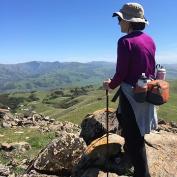 Ed R. Levin County Park - Top of Monument Peak - Dog Parks Near Me - Milpitas, California Ed R. Levin County Park - Top of Monument Peak - Dog Parks Near Me - Milpitas, California