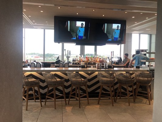 The Catbird Seat Pool Bar by null