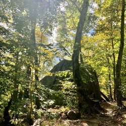 Cascades Park