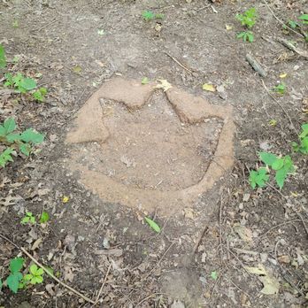 Emily Traphagen Preserve - Dino footprint for the dino activity - Parks Near Me - Powell, Ohio Emily Traphagen Preserve - Dino footprint for the dino activity - Parks Near Me - Powell, Ohio
