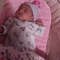 Walgreens - Everly faye