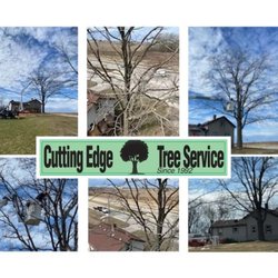 Cutting Edge Tree Service