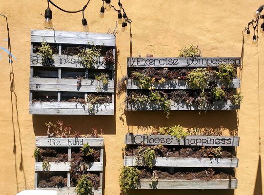 Choice Juicery by null