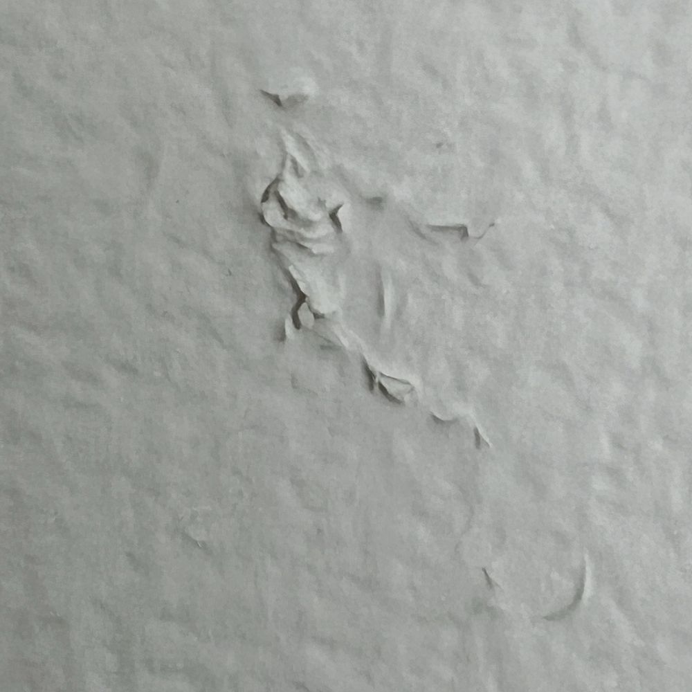 JC Painting & Drywall - There are links, paint running, etc. - Painters Near Me JC Painting & Drywall - There are links, paint running, etc. - Painters Near Me