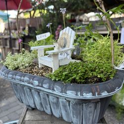 The Cottage Gallery on Los Rios - 7/25/24 Another cute & adorable place to check out Que linda!