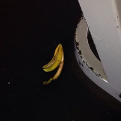 Ben Dunne Gyms - Example of bad gym manners:  who leaves a freaking banana peel on the floor next to a bench press??