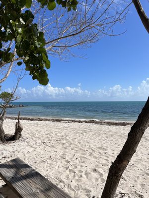 Historic Virginia Key Beach Park by null