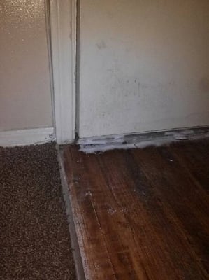 Southern Hills Villa Apartments