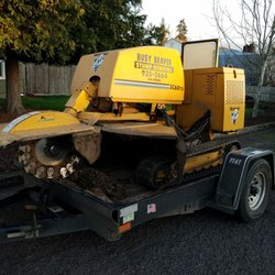 Busy Beaver Stump Removal & Tractor Work