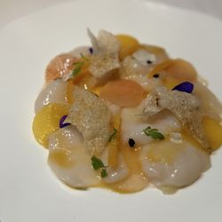 Scallop ceviche