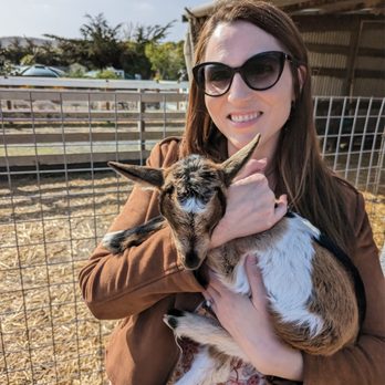 Harley Farms - Baby goat cuddle time! - Cheese Shops Near Me - Pescadero, California Harley Farms - Baby goat cuddle time! - Cheese Shops Near Me - Pescadero, California