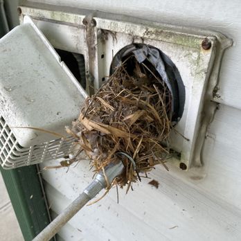 Dryer Vent Cleaning - We remove nests from vents and install pest resistant vent covers. - Appliances & Repair Near Me Dryer Vent Cleaning - We remove nests from vents and install pest resistant vent covers. - Appliances & Repair Near Me