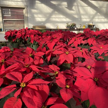 Cedar Hill Farm - Nurseries & Gardening Near Me - Lambertville, New Jersey
