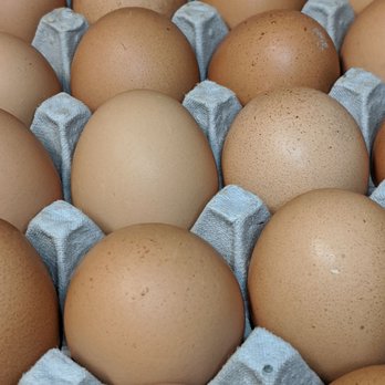 Billy's Egg Farm - Brown Omega-3 eggs - Specialty Food Near Me - Chino, California