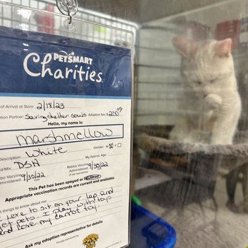 PetSmart - Hope to find him a home - Pet Stores Near Me - Buena Park, California
