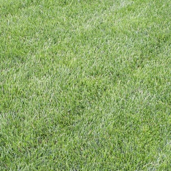 Green Gro Hydroseeding - a green lawn - Landscaping Near Me Green Gro Hydroseeding - a green lawn - Landscaping Near Me