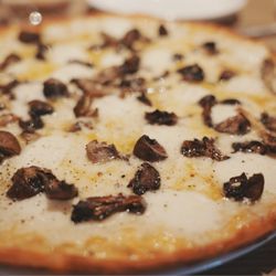 The Amalfi Llama - Truffle & Mushrooms Pizza. The light truffle flavor combined with tender mushrooms & indulgently rich cheese exceeded expectations.