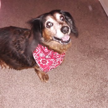 Montgomery County Animal Resource Center - This is TJ the love of my life - Animal Shelters Near Me - Dayton, Ohio Montgomery County Animal Resource Center - This is TJ the love of my life - Animal Shelters Near Me - Dayton, Ohio