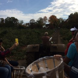 View from the wagon