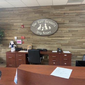 St Marks Dog Resort - The Lobby - Pet Boarding Near Me - Rancho Cucamonga, California