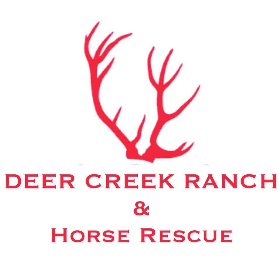 Deer Creek Ranch and Horse Rescue - equestrian in Hartsville, SC