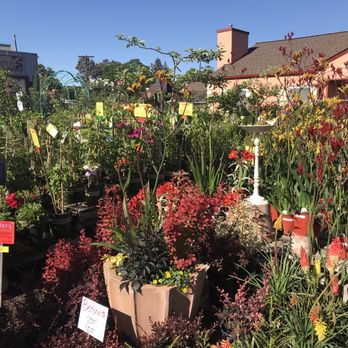 King's Nursery - Nurseries & Gardening Near Me - Santa Rosa, California King's Nursery - Nurseries & Gardening Near Me - Santa Rosa, California