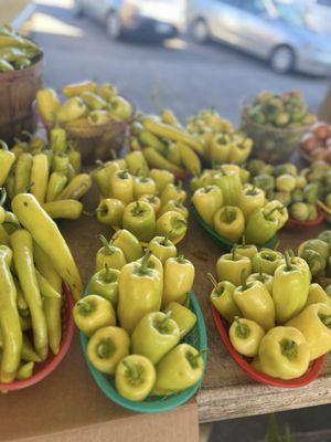 Minneapolis Farmers Market by null