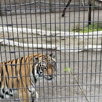 Zoo World - Zoos Near Me - Panama City Beach, Florida Zoo World - Zoos Near Me - Panama City Beach, Florida