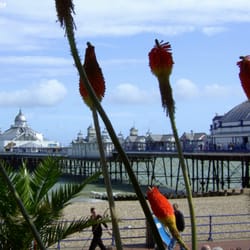 Eastbourne Pier - Photo. August 2009.